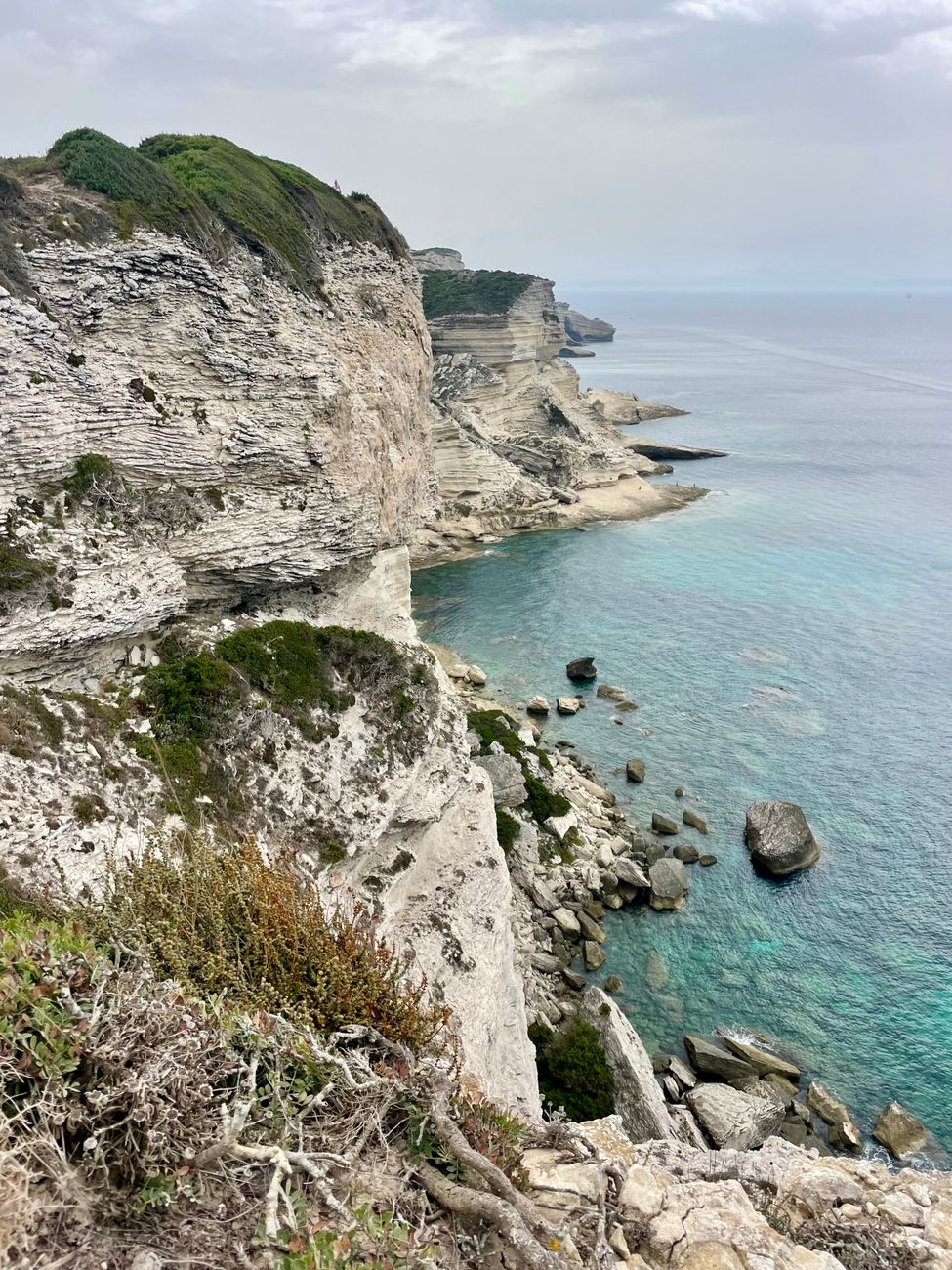 Terraced lemon orchards and Mediterranean coastline along Amalfi